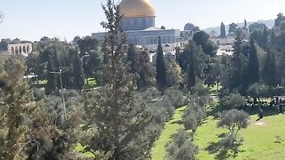 Holy land