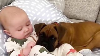 Adorable how these animals are so gentle with cute babies!