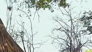 Leopard hunting2