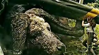 Kong fu skull
