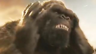 Godzilla vs Kong fu
