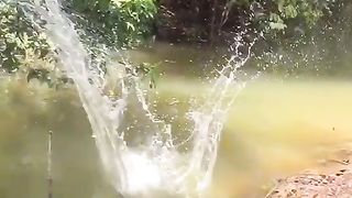 Amazing video