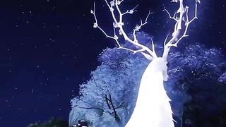Animated video