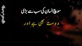 Insane ki soch
