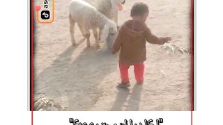 Sweet baby with animals