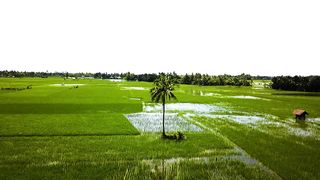 village view