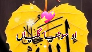 is the best fallow me