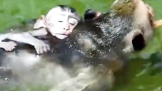 Mother swims her child until he drinks water then