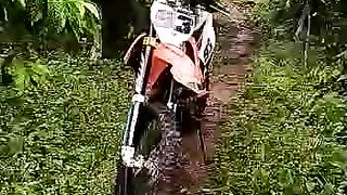 Menjelang Panen Kopi #kopi #coffee