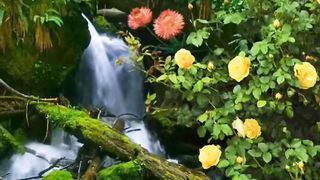 the beauty of this nature