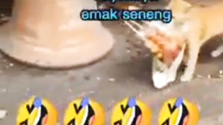 Kocheng Oyen Habis Beli Jajan Makanan