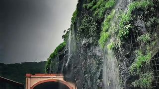 TikTok Video 51