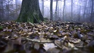 TikTok Video 57