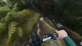 Crash or Not?