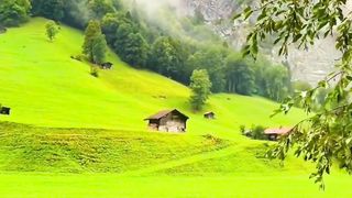 the beauty of this nature
