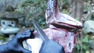 Anglerfish from Ibaraki prefecture
