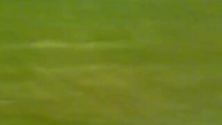 Imran khan Cricket