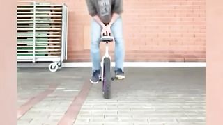 Ridiculous Incident vol 293