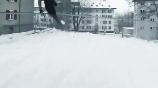 Ridiculous Incident vol 295