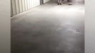 Ridiculous Incident vol 296