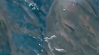 Jump over more than 700 meter for prey