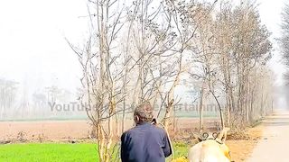 Beautiful Clicks of The Simple Village Life