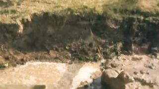 Parshuram attitude status????????#shorts #karna #ytshorts #pasuruan #mahabharat