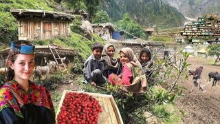 Kashmir ke sair beautiful Jammu and Kashmir