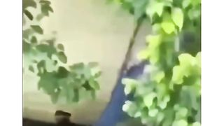 Funny girl's fighting ????????