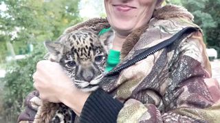 У нас в детском саду НОВЫЙ ОТКАЗНИЧОК- маленький ягуар.