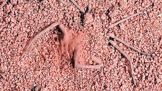 Amazing videos vol 568