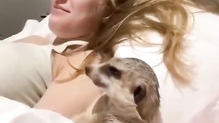 Нет я не сплю не сплю. Смотрю твое кино-Да