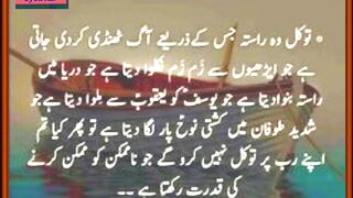 Tawakkal woh Rasta Hai jiske zarye. #World in focus #SyedAli