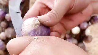 Beautiful