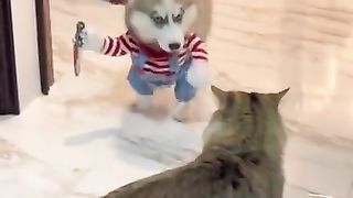 Some maniac attacked a cat
