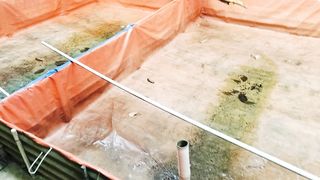 Air kolam sudah dipupuk terus kemasukan air hujan, BAGAIMANA❓