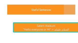 36 Useful Sentences