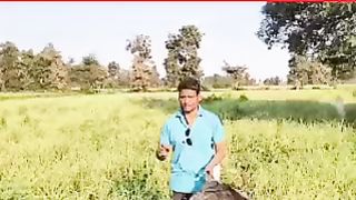 खेत से बंदरों को भगाने के आसान तरीके ????