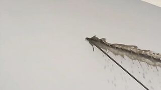 Amazing videos vol 574