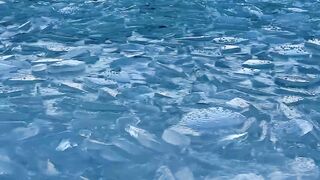 Its a beautiful sight but i am so sorry for the earth will be  and the ice will be melting