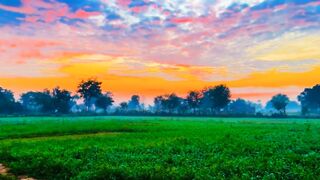 Beautiful Village View | Evening Scenery | #trending #nature