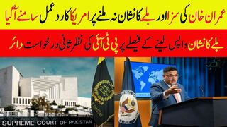 عمران خان کی سزا اور بلّے کا نشان نہ ملنے پر امریکا کا ردعمل سامنے آگیا