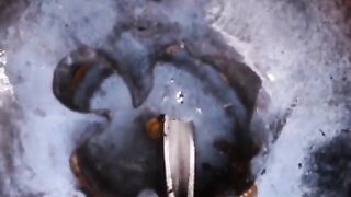 An entertaining video with various subjects