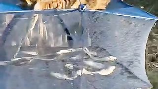 Привет, братан!