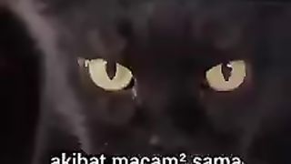 Akibat Berani Macam Macam Sama Kocheng Oyen