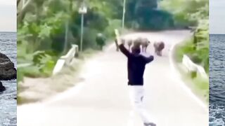 Funny video