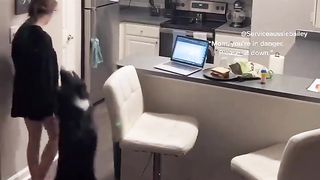 The dog feels that its owner is about to faint, who has postural tachycardia syndrome, so he helps her sit up and brings water and medicine.