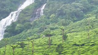 Must visit place in Munnar | Shwetha salian | WanderBees #kerala