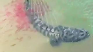 The fisherman released the caught fish when he saw how many fry it had.