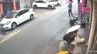 This is why you don’t approach random animals.